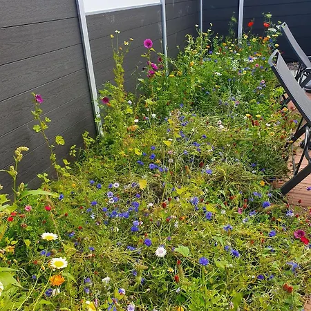 Ferienhaus-wiesenpieper * Dornumersiel