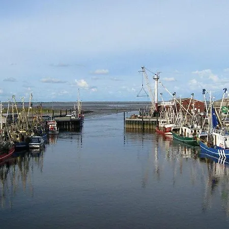 Ferienhaus-wiesenpieper