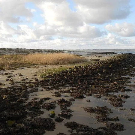 Ferienhaus-wiesenpieper Casa vacanze